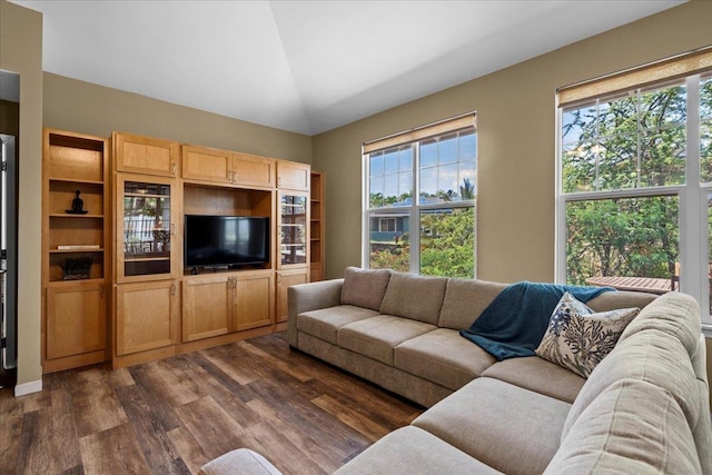 237 Kuli Puu St, Kihei, HI 96753 - living room with dark wood-style flooring and vaulted ceiling