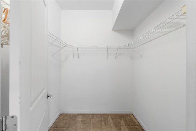 237 Kuli Puu St, Kihei, HI 96753 - walk in closet with carpet flooring