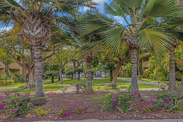 view of property's community