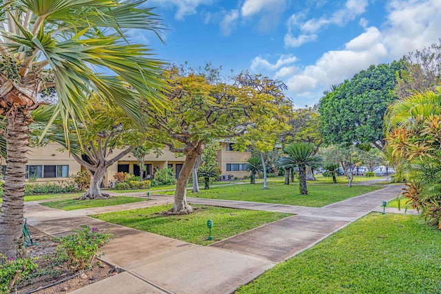 surrounding community featuring a lawn