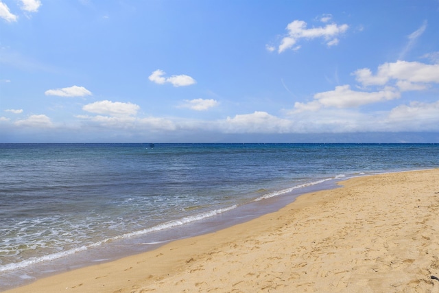 property view of water featuring a view of the beach