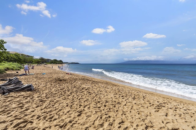 water view featuring a beach view