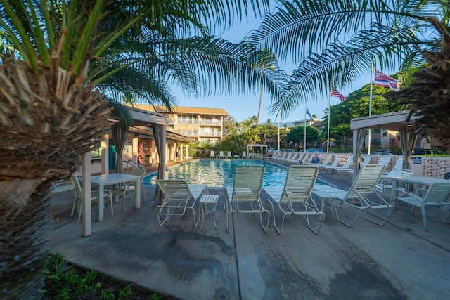 view of swimming pool with a patio