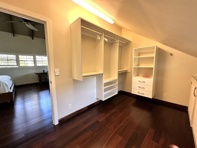 walk in closet featuring ceiling fan and dark hardwood / wood-style floors