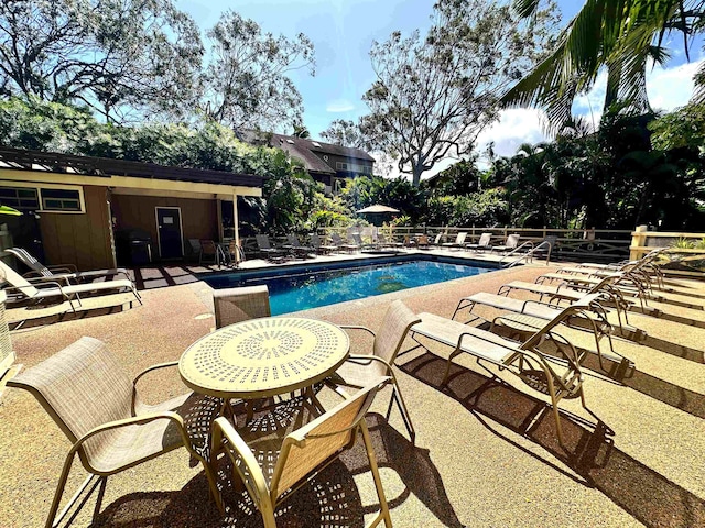 view of pool featuring a patio