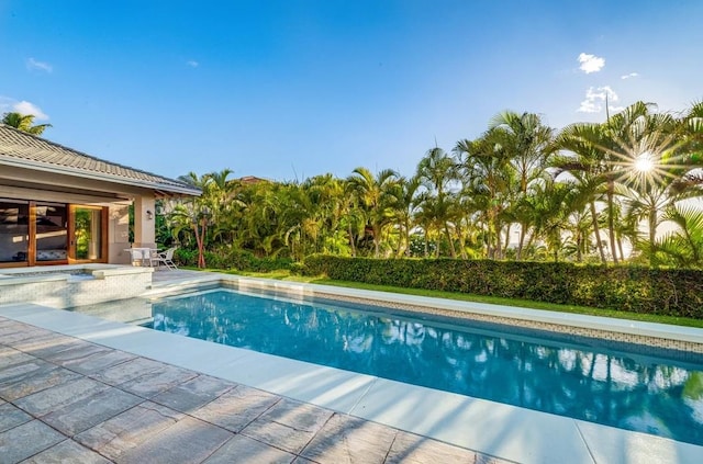 view of swimming pool featuring a patio area