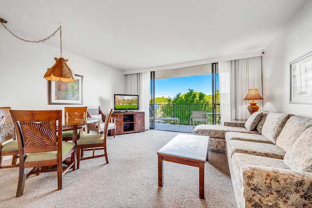 view of carpeted living room