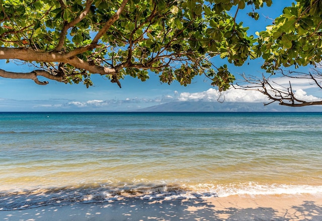 view of water feature with a beach view