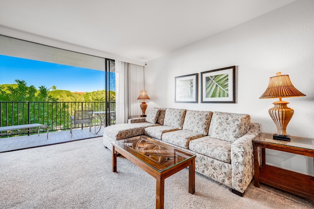 view of carpeted living room