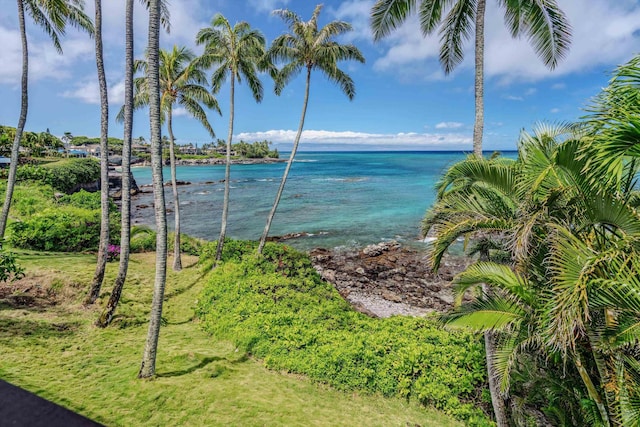 29 Hale Malia Pl, Lahaina, HI 96761 - water view