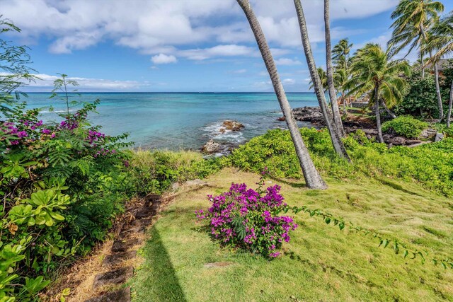 29 Hale Malia Pl, Lahaina, HI 96761 - water view