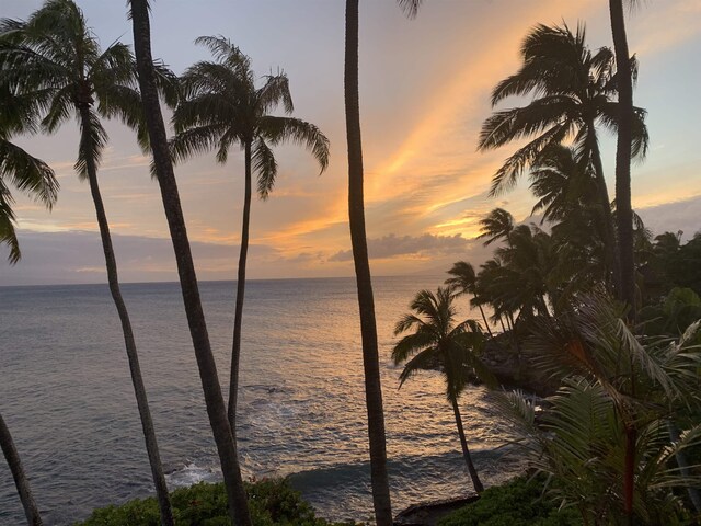 29 Hale Malia Pl, Lahaina, HI 96761 - water view