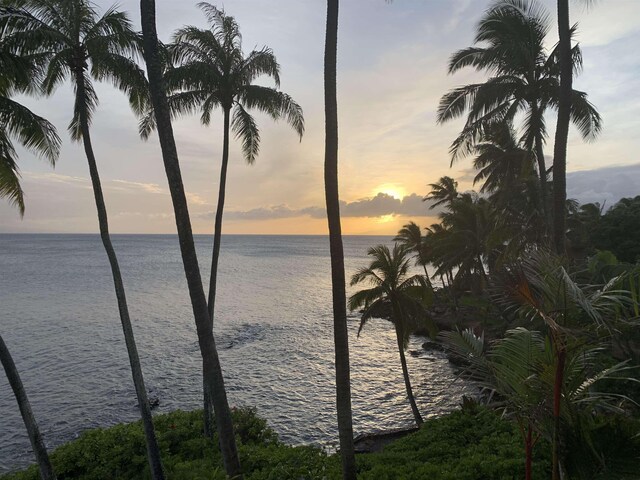 29 Hale Malia Pl, Lahaina, HI 96761 - water view
