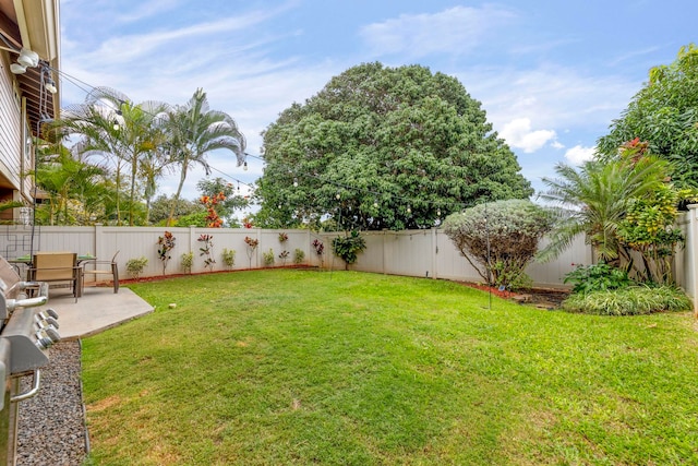 view of yard with a patio area