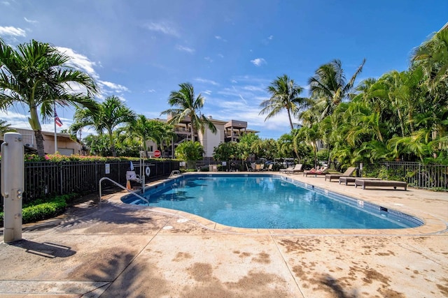 view of swimming pool with a patio area