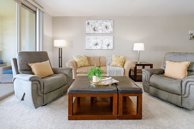 living room with light carpet