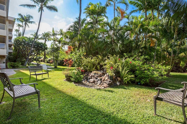 view of home's community with a lawn