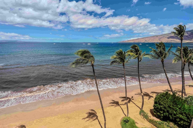 water view with a view of the beach