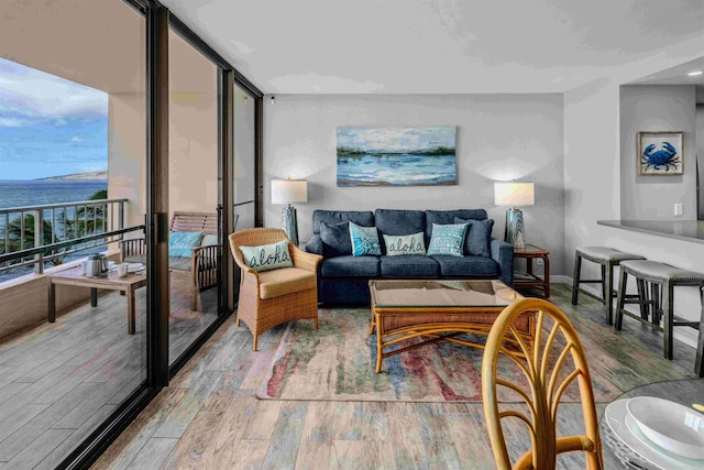 living area featuring expansive windows, baseboards, and wood finished floors