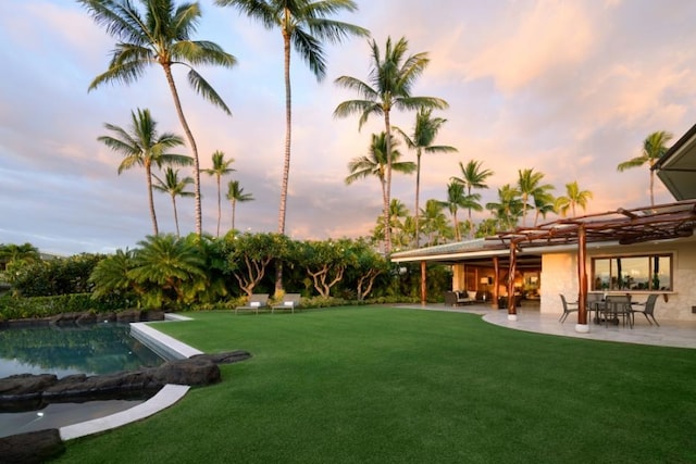 view of yard featuring a patio area