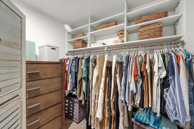 spacious closet featuring wood-type flooring