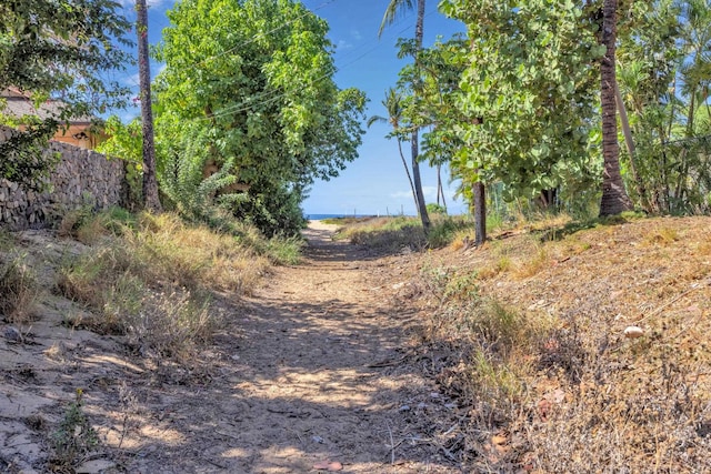 view of local wilderness