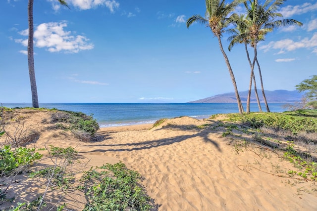 water view featuring a view of the beach