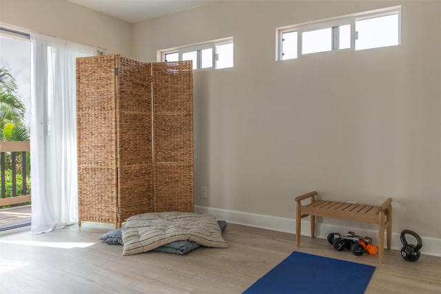 exercise room with a wealth of natural light and hardwood / wood-style floors