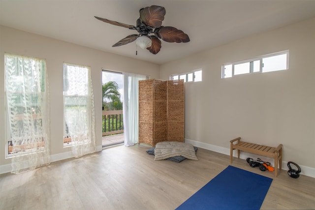 workout room featuring ceiling fan and hardwood / wood-style floors