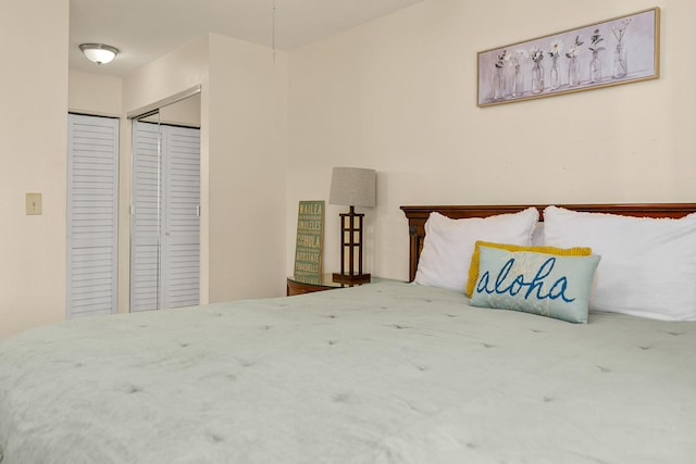 480 Kenolio Rd Unit 21-101, Kihei, HI 96753 - bedroom with two closets