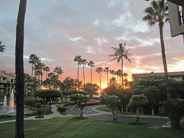 2695 S Kihei Rd Unit 1204, Kihei, HI 96753 - view of home's community featuring a yard
