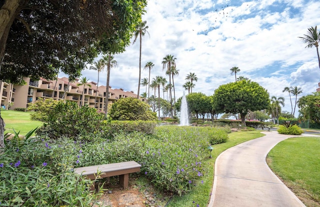 2695 S Kihei Rd Unit 1204, Kihei, HI 96753 - view of community featuring a lawn