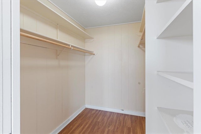 walk in closet featuring dark hardwood / wood-style floors