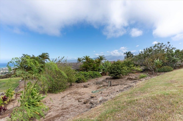 view of landscape