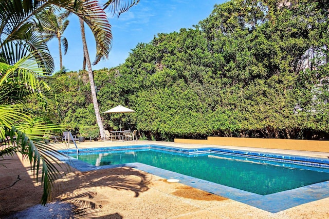 view of pool with a patio