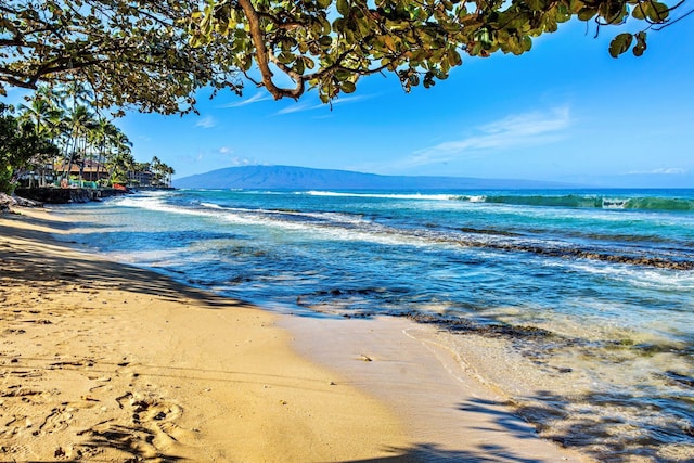 water view featuring a beach view