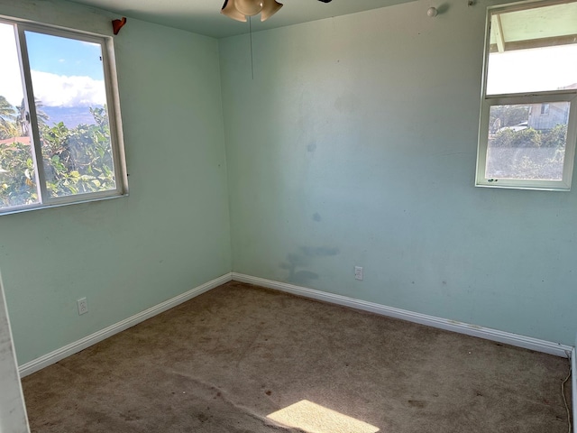 spare room featuring carpet flooring