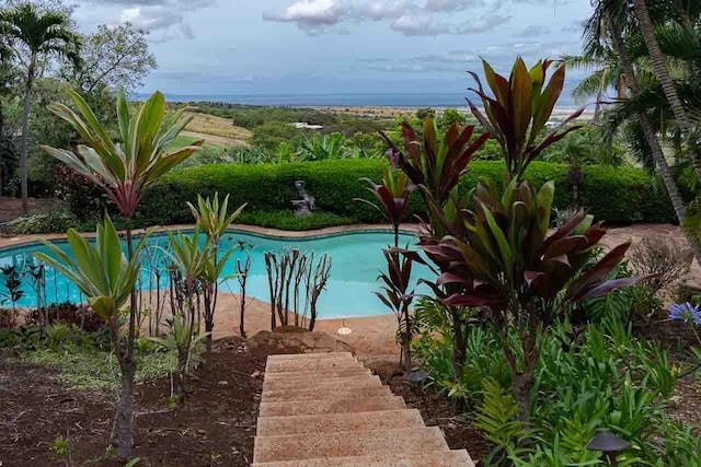 view of pool