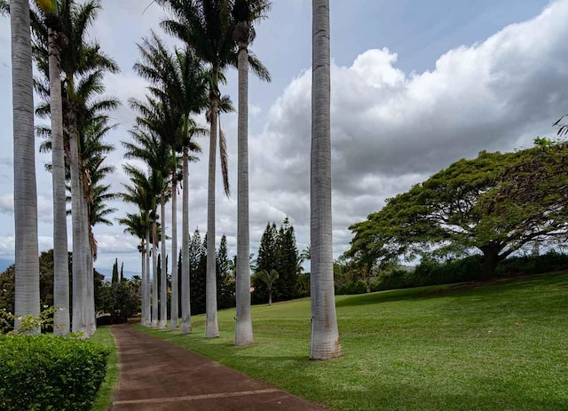 view of home's community with a yard