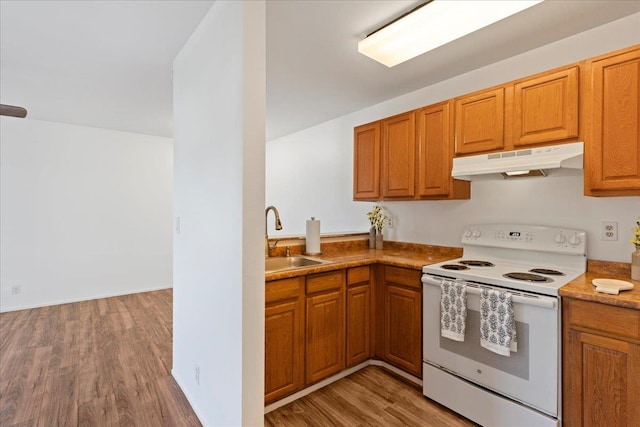 kitchen with light hardwood / wood-style floors, white range with electric cooktop, and sink