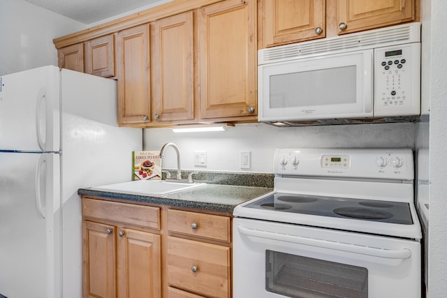 kitchen with white appliances and sink