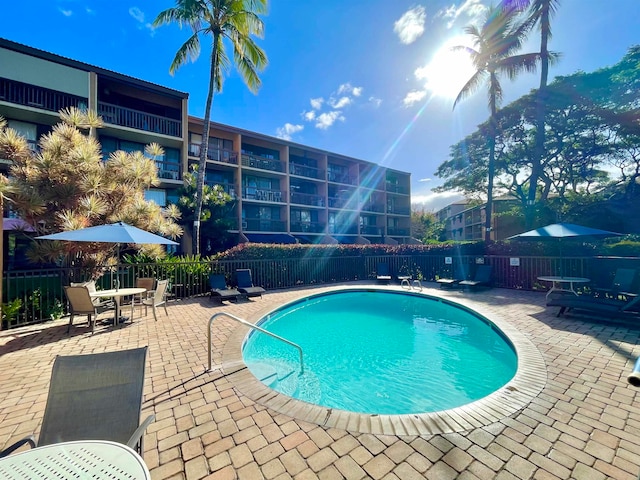 view of pool featuring a patio