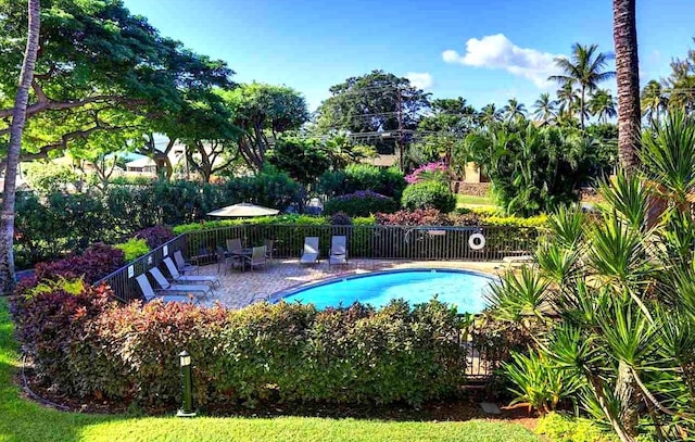 view of pool with a patio area