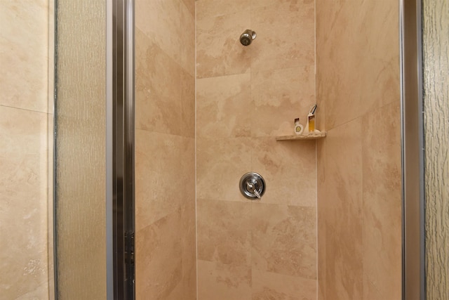 details featuring walk in shower