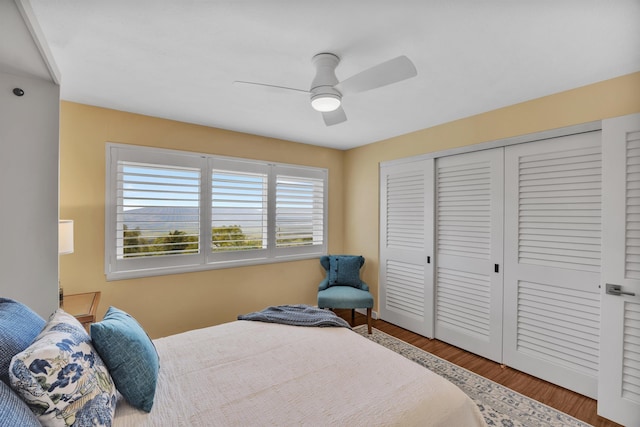 bedroom featuring a closet, ceiling fan, and wood finished floors