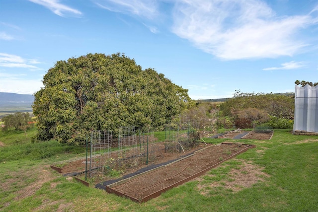 view of yard featuring a vegetable garden