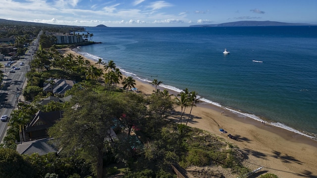 bird's eye view with a water view and a view of the beach