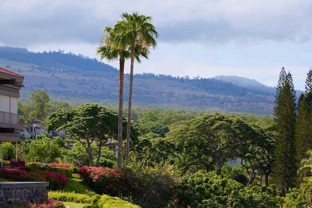4000 Wailea Alanui Dr Unit 3003, Kihei, HI 96753 - view of mountain background