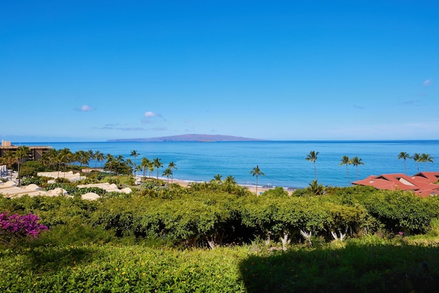 4000 Wailea Alanui Dr Unit 3003, Kihei, HI 96753 - water view