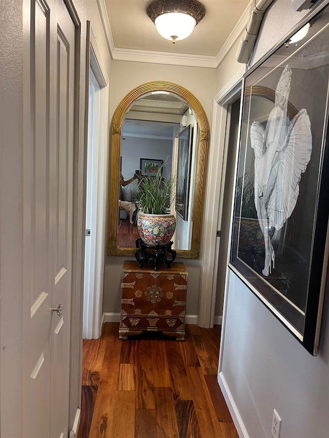 hallway with ornamental molding and dark wood-type flooring